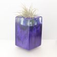 Wood Burl ResinArt Air Plant Holder - Nayeli (The Lab, 697697) Hot on Sale