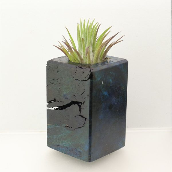 Wood Burl  Air Plant Holder - Stefanie (Wood Burl, 698561) For Cheap