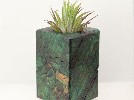 Wood Burl Wood+Resin Air Plant Holder - Doug (Wood Burl, 699633) For Sale