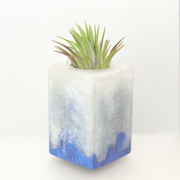 Wood Burl ResinArt Air Plant Holder - Kira (The Lab, 698551) Online Sale