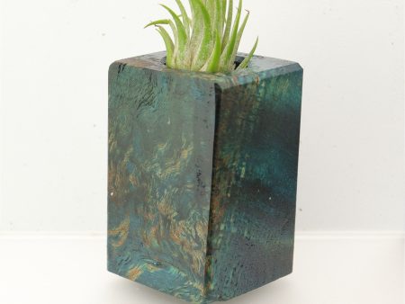 Wood Burl  Air Plant Holder - Nayeli (Wood Burl, 695966) on Sale