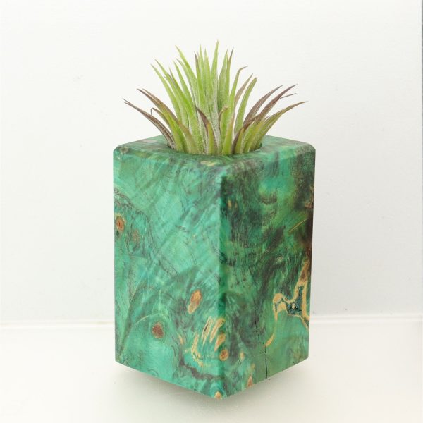 Wood Burl  Air Plant Holder - Zoe (Wood Burl, 698569) Online Hot Sale