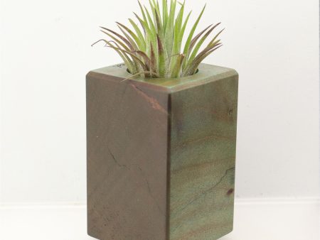 Wood Burl Wood+Resin Air Plant Holder - Neal (Wood Burl, 698640) Supply