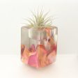 Wood Burl ResinArt Air Plant Holder - Vanessa (The Lab, 697318) Fashion