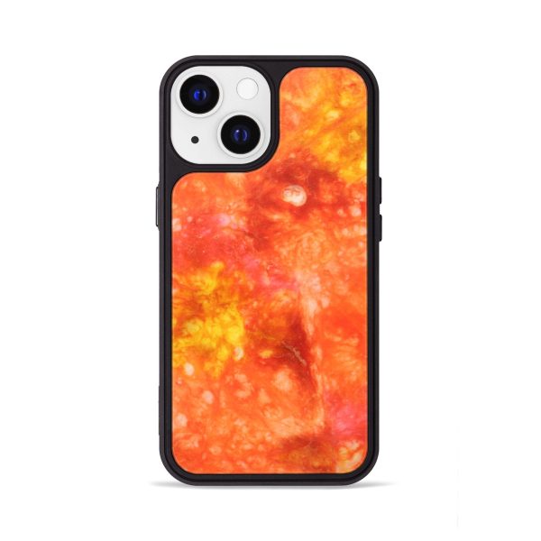 iPhone 13 Wood+Resin Phone Case - Lamont (Watercolor, 694373) Supply