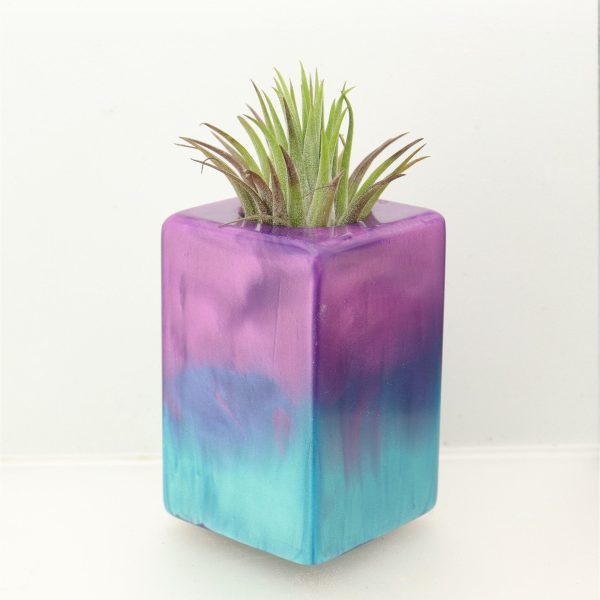 Wood Burl ResinArt Air Plant Holder - Oscar (The Lab, 698580) Online Hot Sale