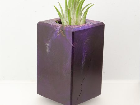 Wood Burl  Air Plant Holder - Marilyn (Wood Burl, 695095) Discount