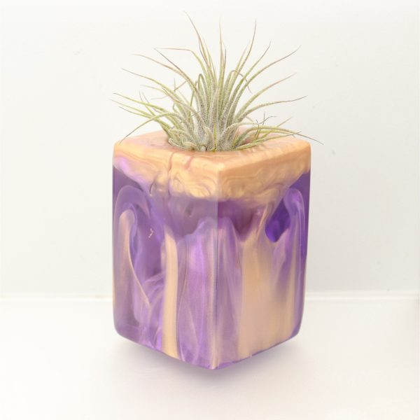 Wood Burl ResinArt Air Plant Holder - Debbie (The Lab, 697370) Fashion