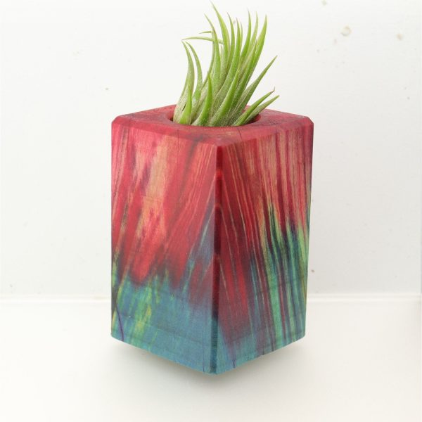 Wood Burl  Air Plant Holder - Marion (Wood Burl, 695082) For Cheap