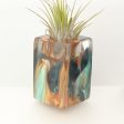 Wood Burl ResinArt Air Plant Holder - Blanche (The Lab, 698215) Supply