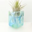 Wood Burl ResinArt Air Plant Holder - Samara (The Lab, 698216) Fashion